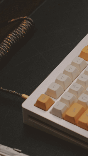 Wired vs wireless mechanical keyboard